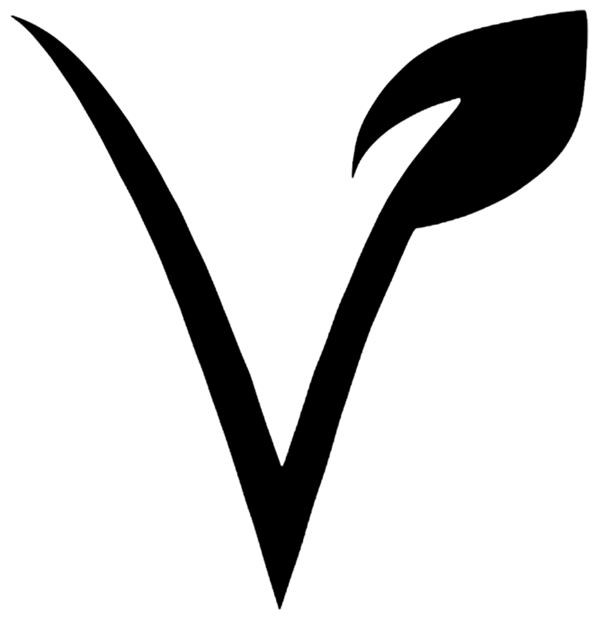 Logo Component Everlast Black