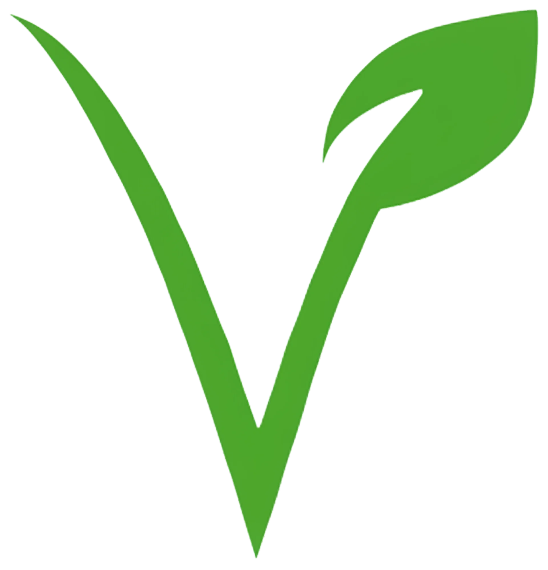 Logo Component Everlast Green